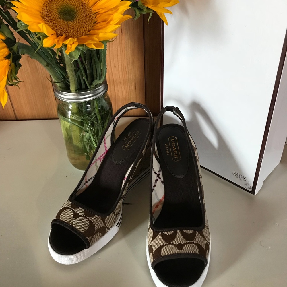 Coach Sneaker wedges